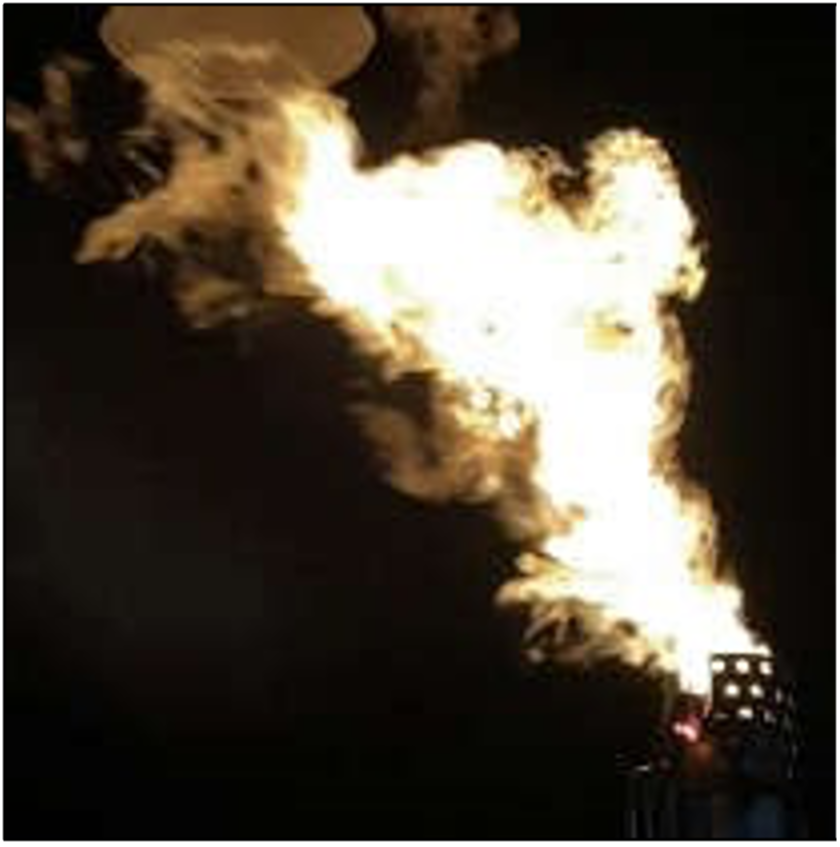 low-flow-flaring-ammonia low-flow-flaring-ammonia